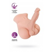 Мастурбатор с фаллосом Manuel - ToyFa - в Сергиевом Посаде купить с доставкой