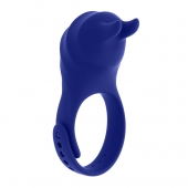 Синее эрекционное виброкольцо с клиторальной подушечкой и пультом ДУ Adjustable Fun Ring - Zero Tolerance - в Сергиевом Посаде купить с доставкой