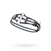 Черный кожаный пояс с кольцами - Pecado - купить с доставкой в Сергиевом Посаде