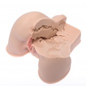 Мастурбатор-полуторс Naked Factory Kate - Naked Factory - в Сергиевом Посаде купить с доставкой