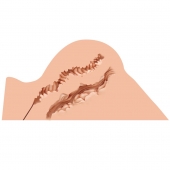 Мастурбатор-полуторс Naked Factory Hannah - Naked Factory - в Сергиевом Посаде купить с доставкой