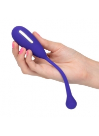 Фиолетовый шарик с электростимуляцией и вибрацией Intimate E-Stimulator Remote Kegel Exerciser - California Exotic Novelties - купить с доставкой в Сергиевом Посаде