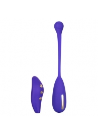 Фиолетовый шарик с электростимуляцией и вибрацией Intimate E-Stimulator Remote Kegel Exerciser - California Exotic Novelties - купить с доставкой в Сергиевом Посаде