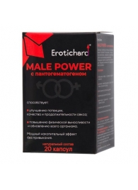 Капсулы для мужчин Erotichard male power с пантогематогеном - 20 капсул (0,370 гр.) - Erotic Hard - купить с доставкой в Сергиевом Посаде