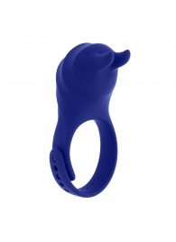 Синее эрекционное виброкольцо с клиторальной подушечкой и пультом ДУ Adjustable Fun Ring - Zero Tolerance - в Сергиевом Посаде купить с доставкой