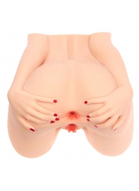 Мастурбатор-полуторс Naked Factory Monica - Naked Factory - в Сергиевом Посаде купить с доставкой