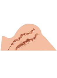 Мастурбатор-полуторс Naked Factory Hannah - Naked Factory - в Сергиевом Посаде купить с доставкой