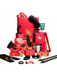 Адвент-календарь Lovehoney Couple’s Advent Calendar 2025 - We-vibe - купить с доставкой в Сергиевом Посаде