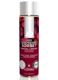 Лубрикант на водной основе с ароматом малины JO Flavored Raspberry Sorbet - 120 мл. - System JO - купить с доставкой в Сергиевом Посаде