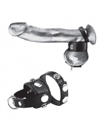 Утяжка для мошонки и пениса Cock Ring With 1  Ball Stretcher And Optional Weight Ring - BlueLine - купить с доставкой в Сергиевом Посаде