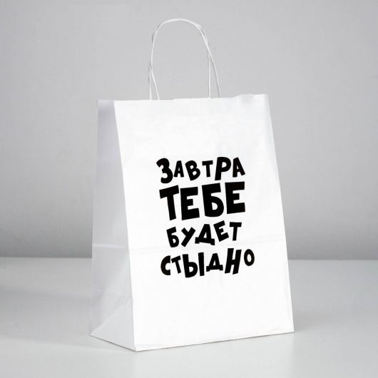 Подарочный пакет  Завтра тебе будет стыдно  - 30 х 24 см. - UPAK LAND - купить с доставкой в Сергиевом Посаде