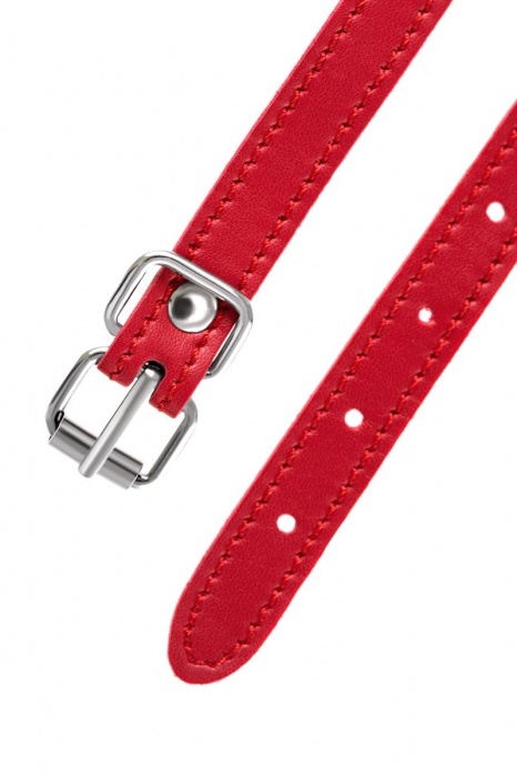 Красная маска Anonymo из искусственной кожи - ToyFa - купить с доставкой в Сергиевом Посаде