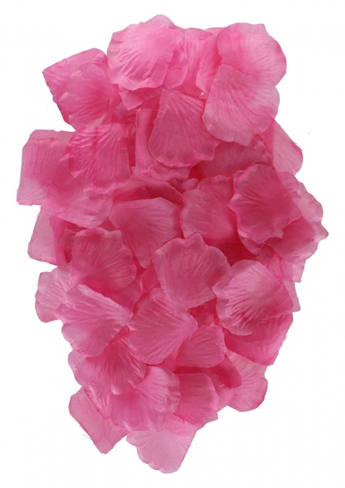 Эротический набор FANTASTIC PURPLE SEX TOY KIT - Toy Joy - купить с доставкой в Сергиевом Посаде