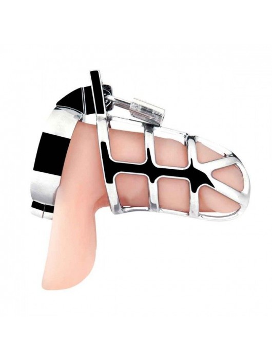 Серебристая металлическая клетка для члена с замком Enslave Cock Cage - BlueLine - купить с доставкой в Сергиевом Посаде