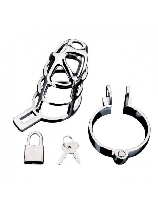 Серебристая металлическая клетка для члена с замком Enslave Cock Cage - BlueLine - купить с доставкой в Сергиевом Посаде