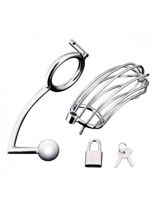 Серебристая металлическая клетка с анальным стимулятором Cock Cage - BlueLine - купить с доставкой в Сергиевом Посаде