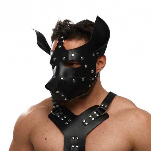 Черная кожаная маска «Собака» - Crazy Handmade - купить с доставкой в Сергиевом Посаде