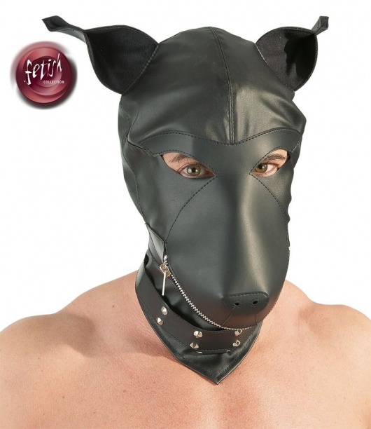 Шлем-маска Dog Mask в виде морды собаки - Orion - купить с доставкой в Сергиевом Посаде