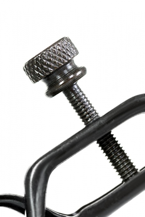 Черно-золотистые зажимы для сосков TOYFA Theatre - ToyFa - купить с доставкой в Сергиевом Посаде