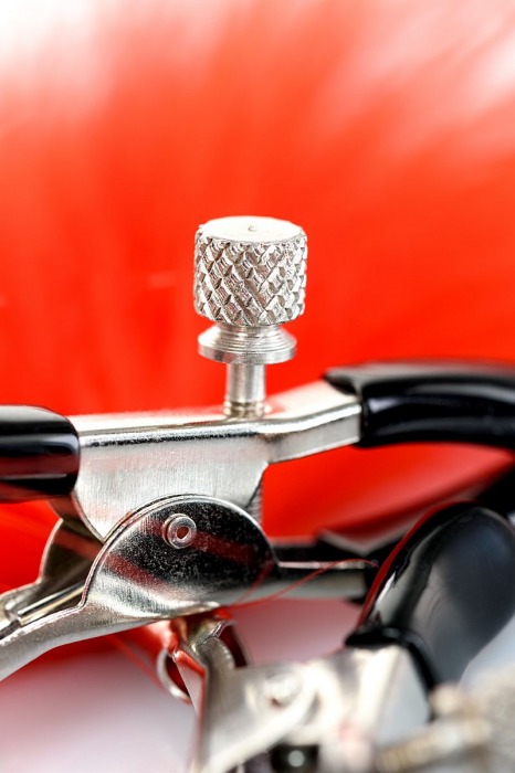 Зажимы для сосков с красным пухом Theatre - ToyFa - купить с доставкой в Сергиевом Посаде