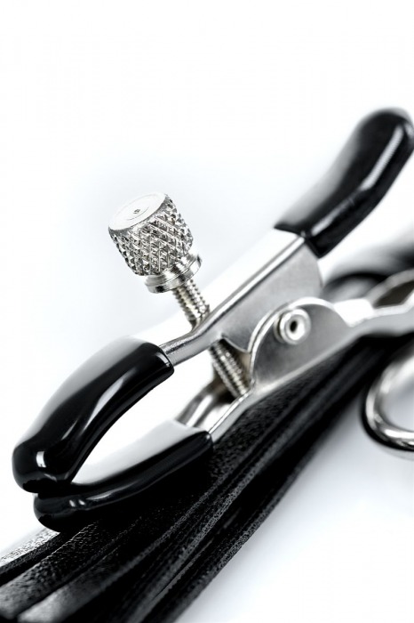 Черно-серебристые зажимы для сосков Theatre с кисточками - ToyFa - купить с доставкой в Сергиевом Посаде